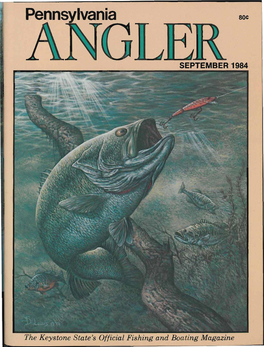 Angle September 1984