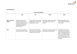 Identifying Woods Temperate Hardwoods Oak Ash Beech Birch