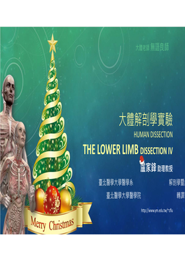 大體解剖學實驗 the Lower Limb Dissection Iv