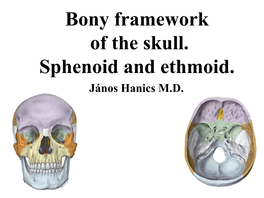 Bony Framework of the Skull. Sphenoid and Ethmoid. János Hanics M.D