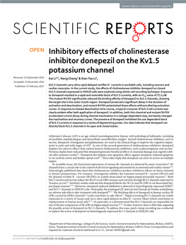 Inhibitory Effects of Cholinesterase Inhibitor Donepezil on the Kv1.5