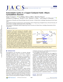 Autocatalytic Cycles in a Copper-Catalyzed Azide–Alkyne Cycloaddition Reaction