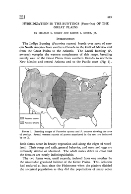 Hybridization in the Buntings (Passerina) of the Great