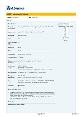 LASP1 Polyclonal Antibody