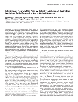 Inhibition of Neuropathic Pain by Selective Ablation of Brainstem Medullary Cells Expressing the ␮-Opioid Receptor