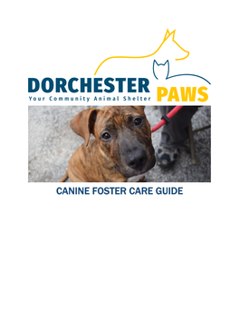 Canine Foster Care Guide