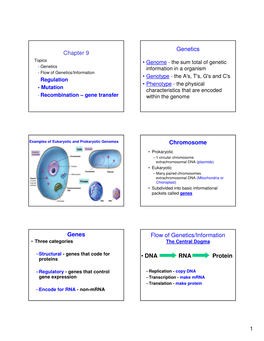 Chapter 9 Genetics Chromosome Genes • DNA RNA Protein Flow Of