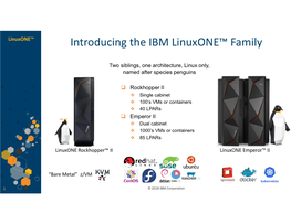 Introducing the IBM Linuxone™ Family