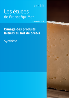 ETU-LAI-L'image Des Produits Laitiers Au Lait De Brebis-2018.Pdf 1,9 Mo