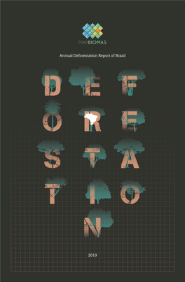 Annual Deforestation Report of Brazil 2019 Annual Deforestation Report