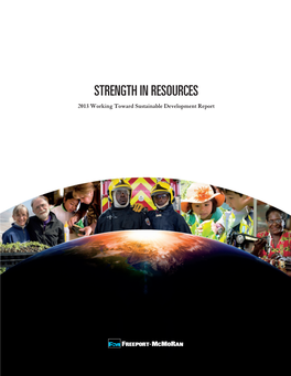 2013 Working Toward Sustainable Development Report