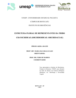 Estrutura Floral De Representantes Da Tribo Cranichideae (Orchidoideae: Orchidaceae) / Sérgio Akira Adachi