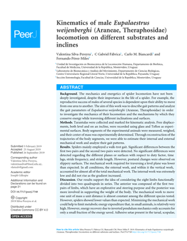 Kinematics of Male Eupalaestrus Weijenberghi (Araneae, Theraphosidae) Locomotion on Different Substrates and Inclines