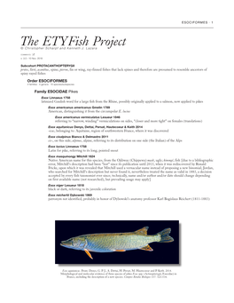 The Etyfish Project © Christopher Scharpf and Kenneth J