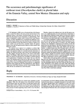 In Pluvial Lakes of the Estancia Valley, Central New Mexico: Discussion and Reply