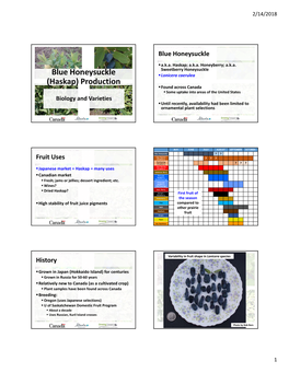 Blue Honeysuckle (Haskap) Production