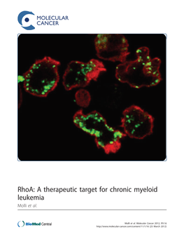 Rhoa: a Therapeutic Target for Chronic Myeloid Leukemia Molli Et Al