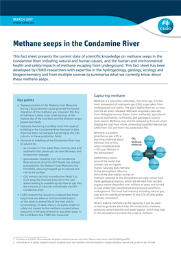 Methane Seeps in the Condamine River