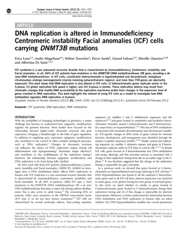 DNA Replication Is Altered in Immunodeficiency