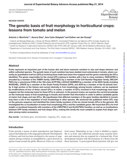 The Genetic Basis of Fruit Morphology in Horticultural Crops: Lessons from Tomato and Melon