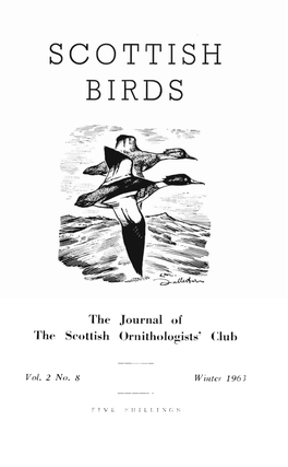 Scottish Birds