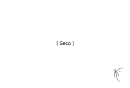 Seco-Sample.Pdf