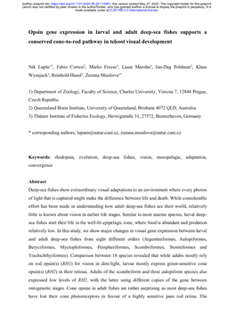 Opsin Gene Expression in Larval and Adult Deep-Sea Fishes Supports a Conserved Cone-To-Rod Pathway in Teleost Visual Development