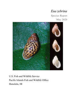 Eua Zebrina Species Report May 2020