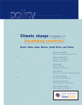 Climate Change Mitigation in Developing Countries