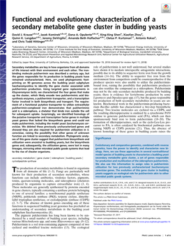 Functional and Evolutionary Characterization of a Secondary Metabolite Gene Cluster in Budding Yeasts