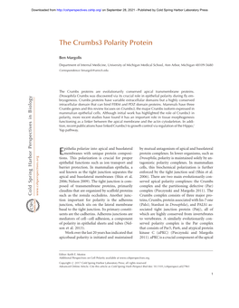 The Crumbs3 Polarity Protein