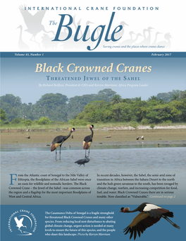 Black Crowned Cranes T H R E at E N E D J E W E L O F T H E S a H E L by Richard Beilfuss, President & CEO and Kerryn Morrison, Africa Program Leader