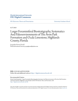 Larger Foraminiferal Biostratigraphy, Systematics And