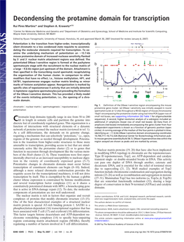 Decondensing the Protamine Domain for Transcription