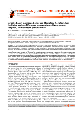 Invasive Brown Marmorated Stink Bug (Hemiptera: Pentatomidae) Facilitates Feeding of European Wasps and Ants (Hymenoptera: Vespidae, Formicidae) on Plant Exudates