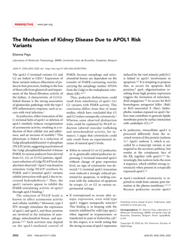 The Mechanism of Kidney Disease Due to APOL1 Risk Variants