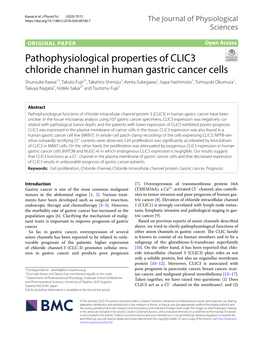 Pathophysiological Properties of CLIC3 Chloride Channel in Human