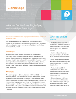 What Are Double-Byte, Single-Byte, and Multi-Byte Encodings?