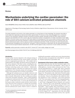 Mechanisms Underlying the Cardiac Pacemaker: the Role of SK4 Calcium-Activated Potassium Channels