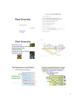 Plant Diversity Plant Diversity