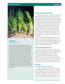 Species in Depth: Caulerpa