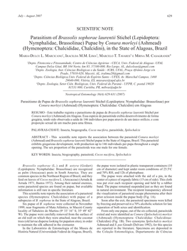 Parasitism of Brassolis Sophorae Laurentii Stichel