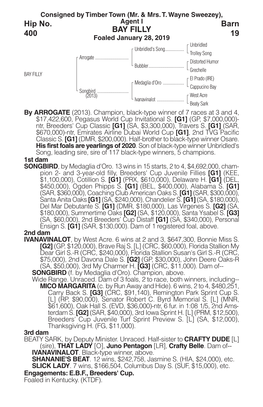 BAY FILLY Barn 19 Hip No