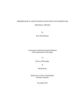 Morphological Adaptations Facilitating Attachment for Archaeal Viruses