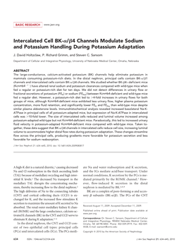 Intercalated Cell BK-/4 Channels Modulate Sodium and Potassium