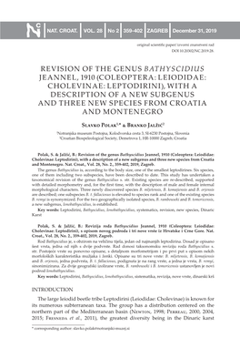 Revision of the Genus Bathyscidius Jeannel, 1910