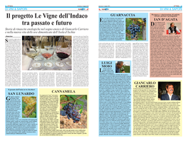 Il Progetto Le Vigne Dell'indaco Tra Passato E Futuro