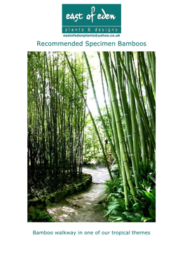 Recommended Specimen Bamboos