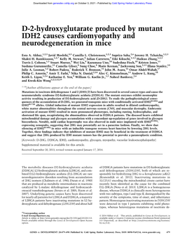 D-2-Hydroxyglutarate Produced by Mutant IDH2 Causes Cardiomyopathy and Neurodegeneration in Mice