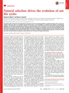 Natural Selection Drives the Evolution of Ant Life Cycles